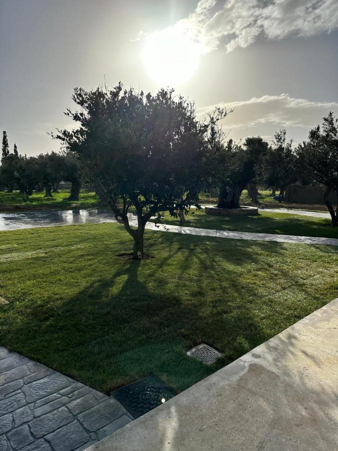 Peristerionas Estate Apartment Каристос Екстериор снимка